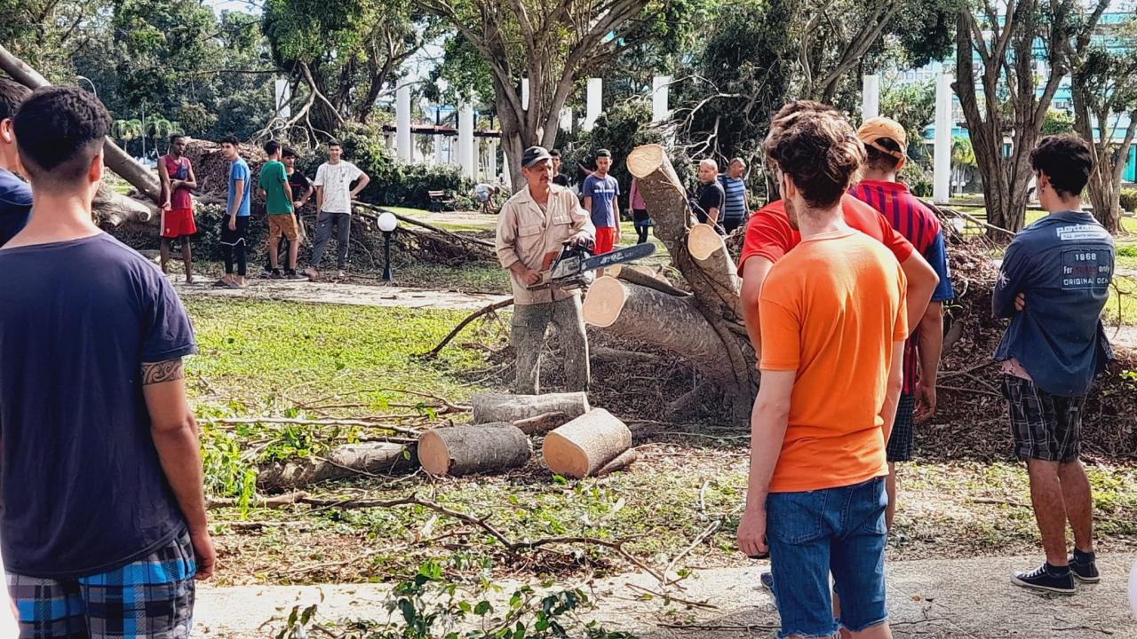 La comunidad universitaria unió voluntades para devolverle la imagen a la casa de altos estudios.