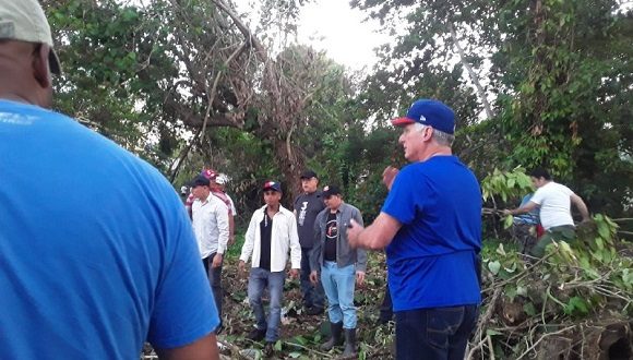 Presidente cubano en Jornada de Trabajo Voluntario.