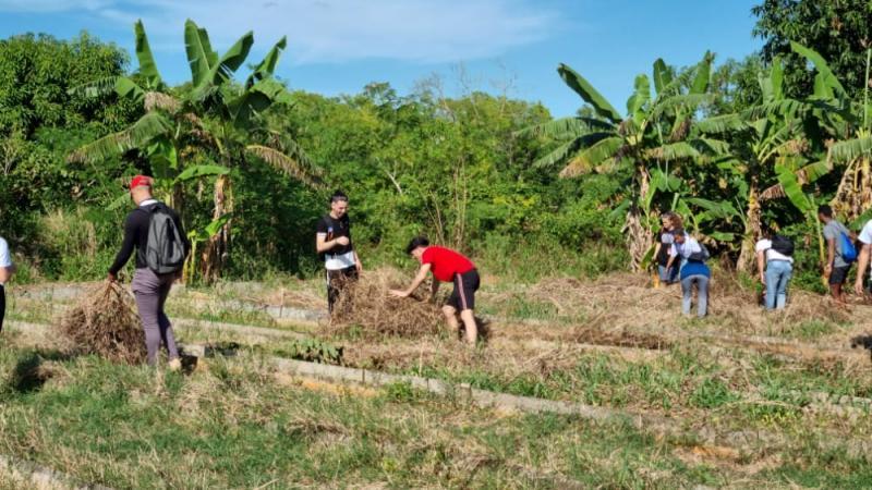 Los delegados participaron en las acciones de apoyo a entidades agrícolas de los municipios de La Lisa y Arroyo Naranjo.