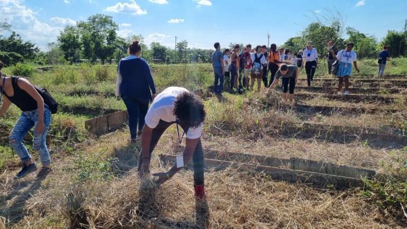 Los delegados participaron en las acciones de apoyo a entidades agrícolas de los municipios de La Lisa y Arroyo Naranjo.