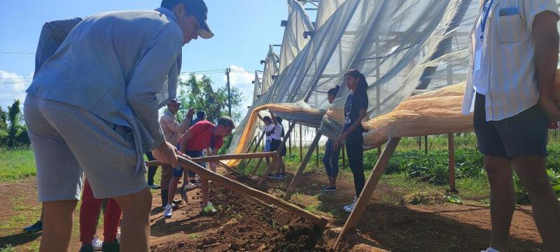 Los delegados participaron en las acciones de apoyo a entidades agrícolas de los municipios de La Lisa y Arroyo Naranjo.