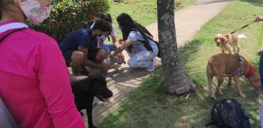 La red de voluntarios de Bienestar Animal Cuba (BAC) de La Habana realizó en la Universidad esterilizaciones, rescate de cachorros, desparasitación de animales domésticos y callejeros.